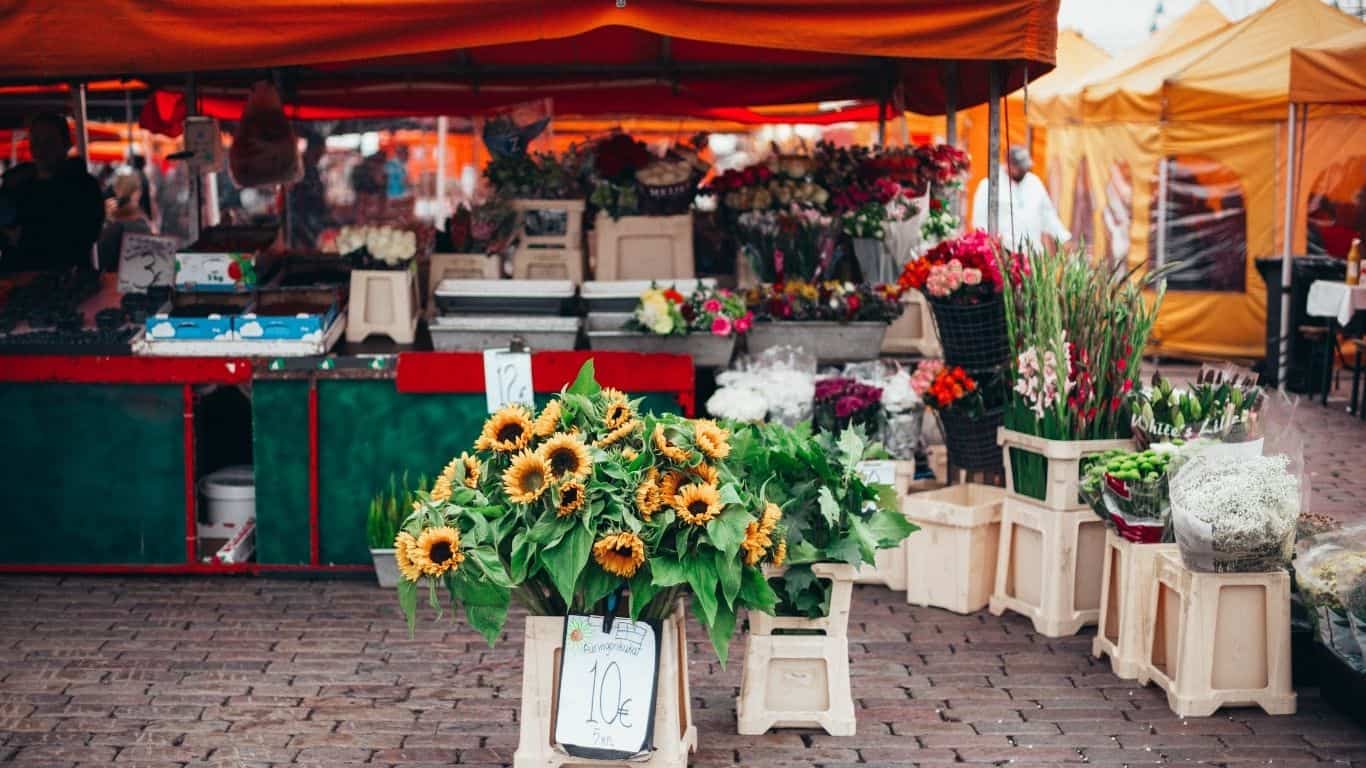 Farmers Market Top Things to Do on Lummi Island This Weekend