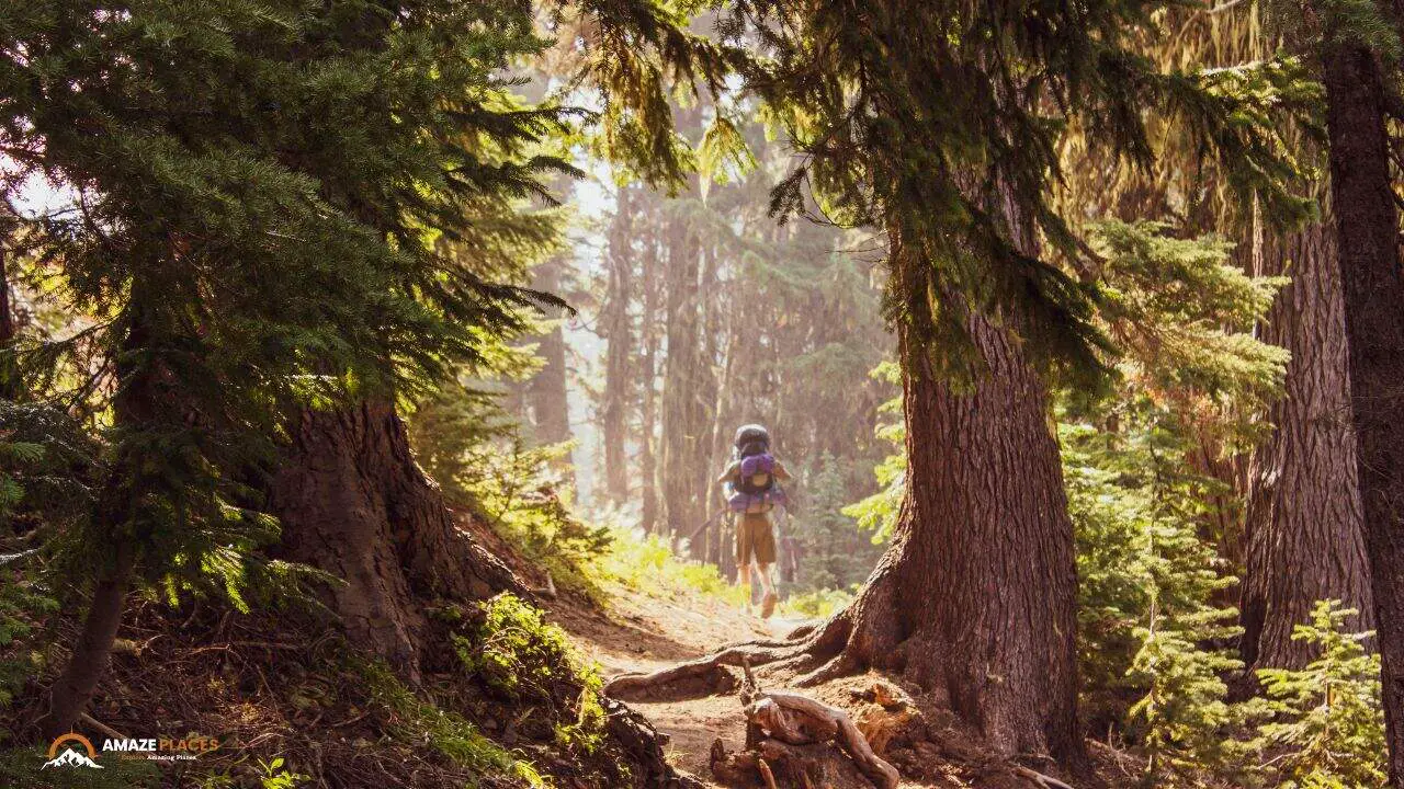 Hidden Hiking Trails near Salt Lake City